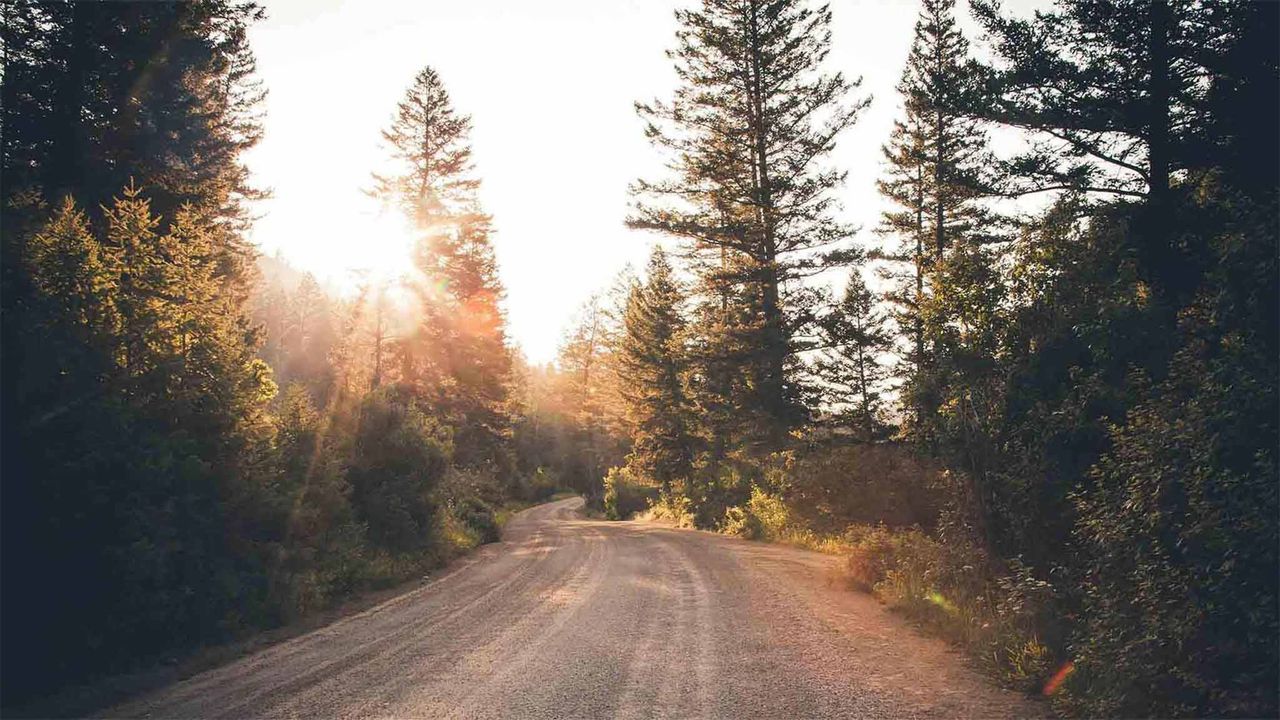 Een zandweg door het bos toont de hand van God in de natuur