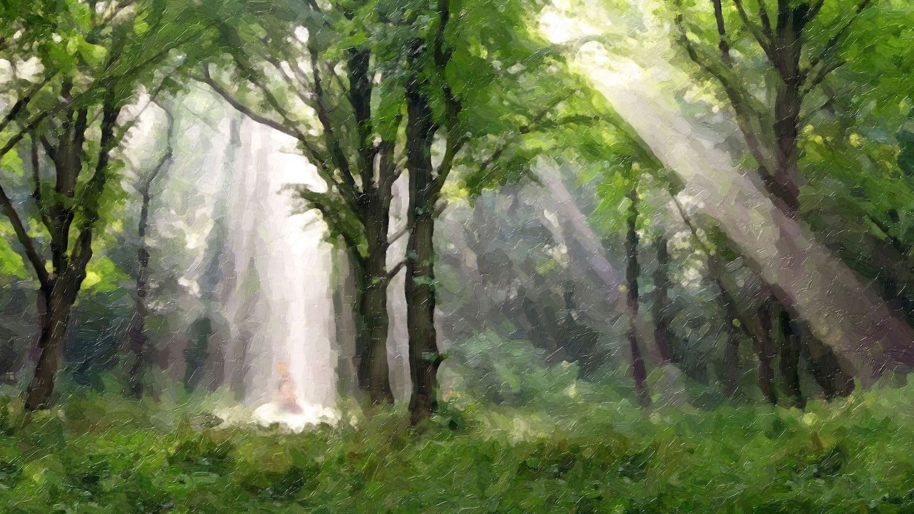 Tijdens de gebeurtenis die wij het eerste visioen noemen, schijnt er een lichtkolom vanuit de hemel op Joseph Smith neer
